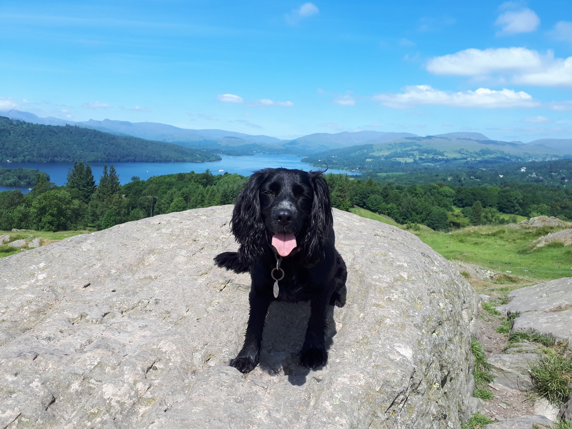 Dog Friendly Lodges in the Lake District